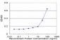 RNF2 Antibody (monoclonal) (M14)