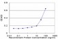 RNF2 Antibody (monoclonal) (M14)