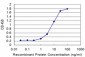RNF40 Antibody (monoclonal) (M09)