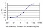 RNF6 Antibody (monoclonal) (M01)