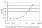 ROBO2 Antibody (monoclonal) (M01)