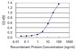 ROCK2 Antibody (monoclonal) (M02)