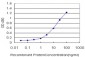 RP13-297E16.1 Antibody (monoclonal) (M02)
