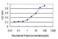 RP6-213H19.1 Antibody (monoclonal) (M01)