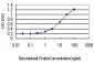 RPL10 Antibody (monoclonal) (M01)