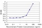 RPL14 Antibody (monoclonal) (M01)