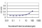 RPL19 Antibody (monoclonal) (M01)