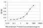 RPL4 Antibody (monoclonal) (M01)