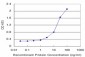 RPS5 Antibody (monoclonal) (M02)