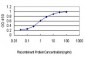 RPS6KB1 Antibody (monoclonal) (M01)