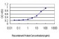 RRAS Antibody (monoclonal) (M01)