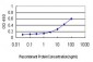 RRM1 Antibody (monoclonal) (M03)