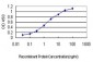 RRM2 Antibody (monoclonal) (M01)