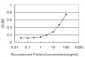 RUNX1 Antibody (monoclonal) (M05)