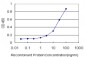 RUNX1 Antibody (monoclonal) (M06)