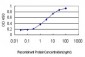 RUNX2 Antibody (monoclonal) (M01)