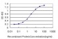 RUNX2 Antibody (monoclonal) (M02)