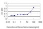 RUNX2 Antibody (monoclonal) (M05)