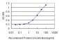 RUNX2 Antibody (monoclonal) (M06)