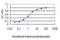 S100A6 Antibody (monoclonal) (M10)