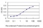 SAE1 Antibody (monoclonal) (M01)