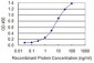 SAV1 Antibody (monoclonal) (M04)