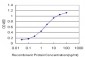 SCAND1 Antibody (monoclonal) (M01)