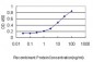 SCGB1A1 Antibody (monoclonal) (M01)
