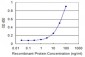 SCGB1A1 Antibody (monoclonal) (M11)