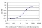 SEMA4B Antibody (monoclonal) (M03)