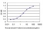 SEMA7A Antibody (monoclonal) (M01)