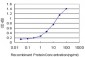 SERPINB2 Antibody (monoclonal) (M08)