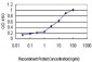 SERPING1 Antibody (monoclonal) (M01)