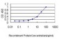 SERPINH1 Antibody (monoclonal) (M01)