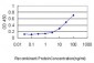 SESN2 Antibody (monoclonal) (M03)