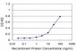 SET Antibody (monoclonal) (M01)