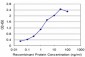 SETDB1 Antibody (monoclonal) (M07)