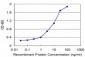 SFN Antibody (monoclonal) (M02)