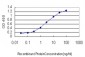 SFRS10 Antibody (monoclonal) (M01)