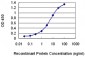 SFRS14 Antibody (monoclonal) (M01)