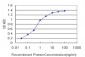 SGK2 Antibody (monoclonal) (M09)