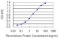 SGTA Antibody (monoclonal) (M06)