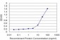 SH3BP4 Antibody (monoclonal) (M11)