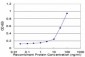 SH3GL2 Antibody (monoclonal) (M06)