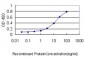 SH3GLB1 Antibody (monoclonal) (M01)