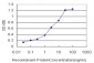 SIRT1 Antibody (monoclonal) (M01)