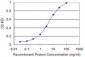 SIRT1 Antibody (monoclonal) (M03)