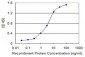 SLC11A2 Antibody (monoclonal) (M01)