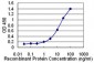 SLC36A2 Antibody (monoclonal) (M04)