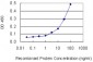 SLC4A8 Antibody (monoclonal) (M04)